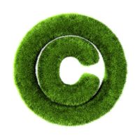 GrasscopyrightCla78-Fotoliacom